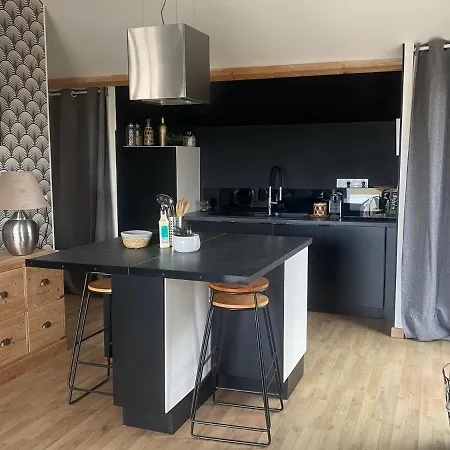 Loft Avec Terrasse Pour 4 Pers A 3km Du Circuit Avec Garage Au Calme Apartment Le Mans